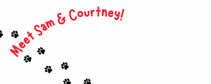 about the author & illustrator